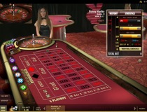 Live Dealer Roulette View