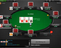 Tigergaming Holdem Table Screenshot